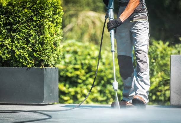 Animal Enclosure Cleaning in Albertson, NY