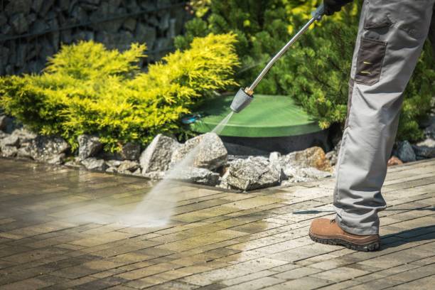 Best Warehouse Cleaning  in Albertson, NY