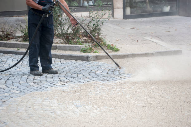 Best Dumpster Area Cleaning  in Albertson, NY